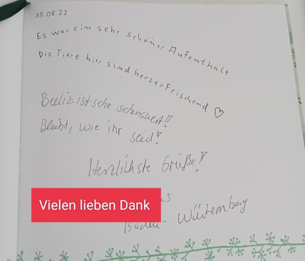 Ferienzimmer Waldzauber Borkwalde Eksteriør billede